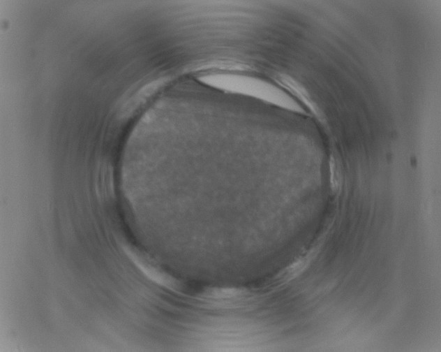 X0000076300205200610271922