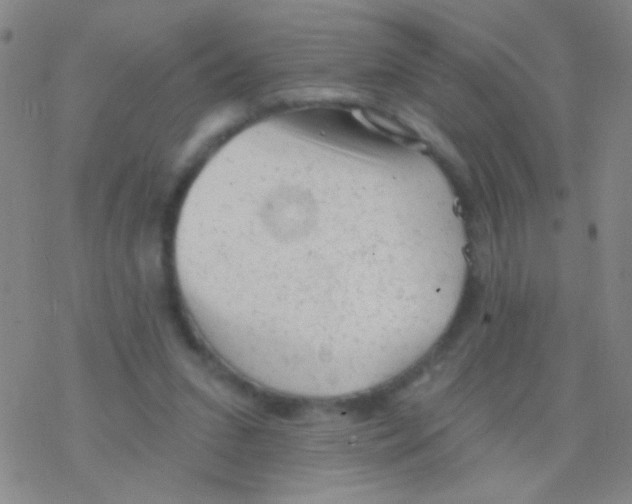 X0000076300207200610271922