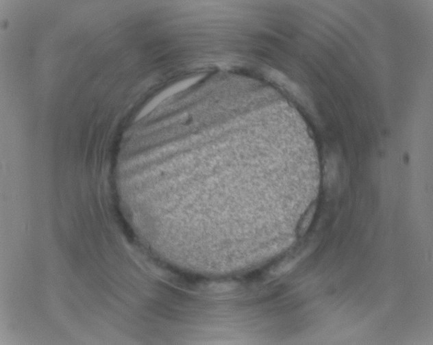 X0000076300209200610271922