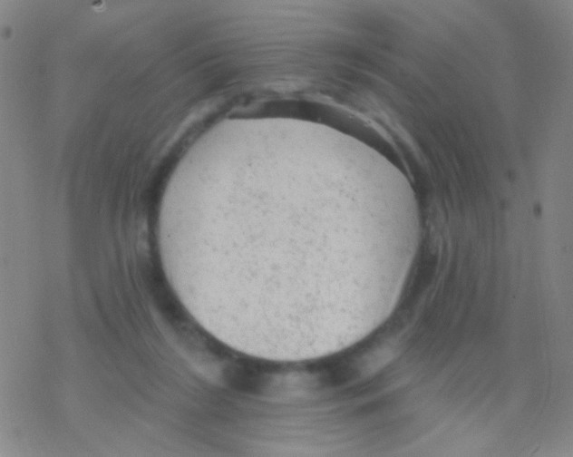 X0000076300212200610271922