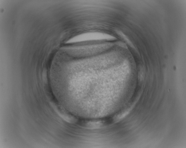 X0000076300213200610271922