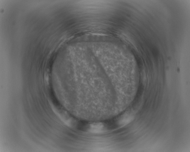 X0000076300214200610271922