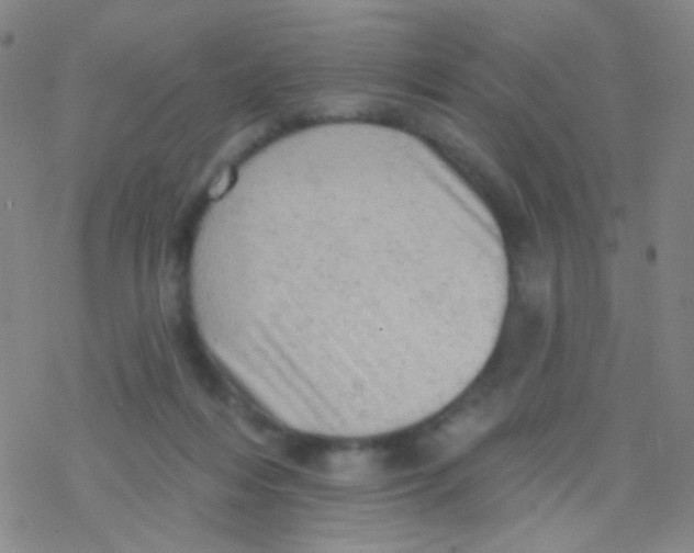 X0000076300216200610271922