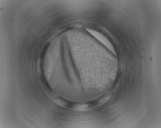 X0000076300217200610271922