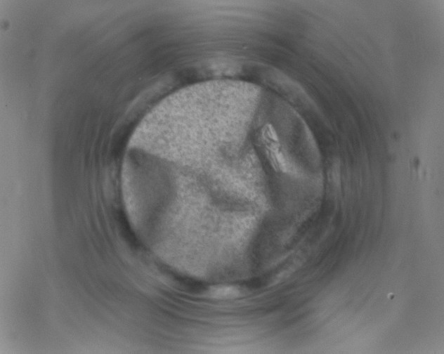 X0000076300218200610271922