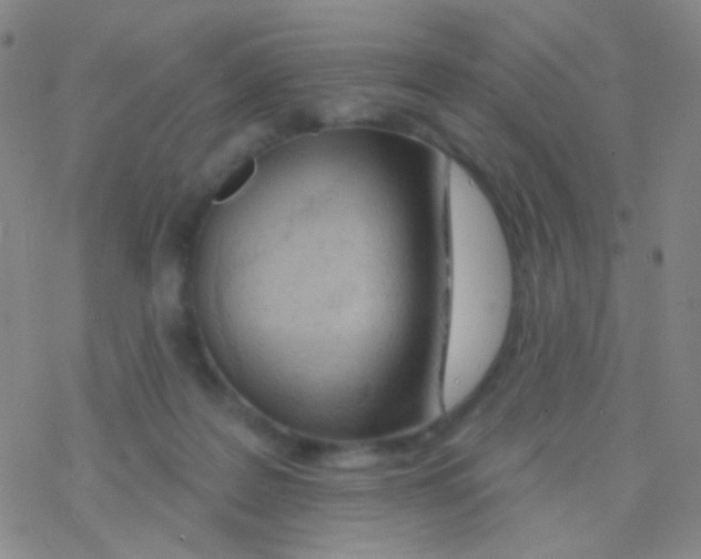 X0000076300219200610271922