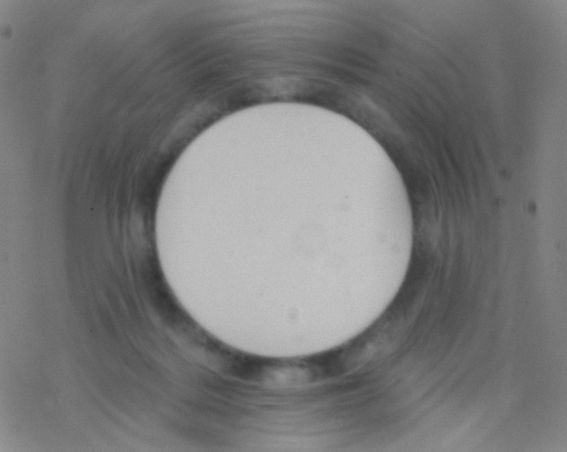 X0000076300220200610271922