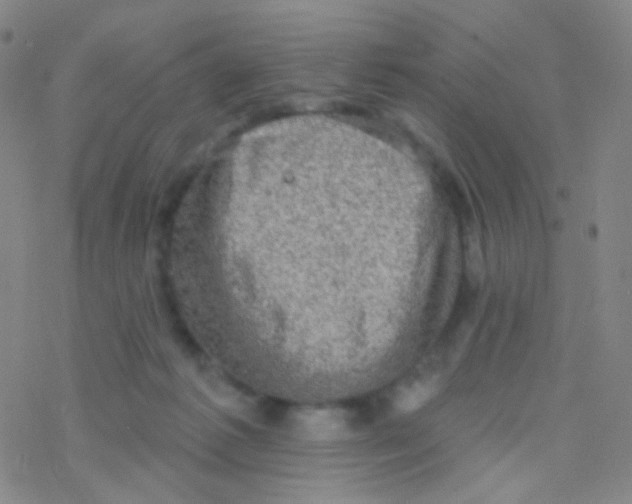 X0000076300221200610271922