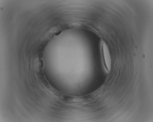 X0000076300223200610271922