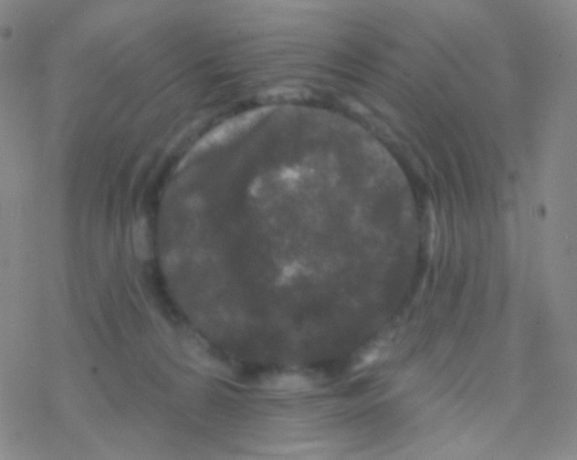 X0000076300224200610271922