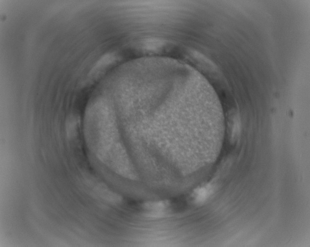 X0000076300225200610271922