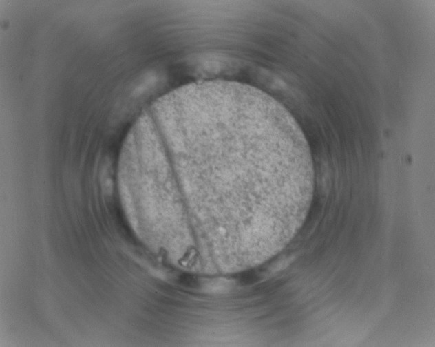 X0000076300226200610271922