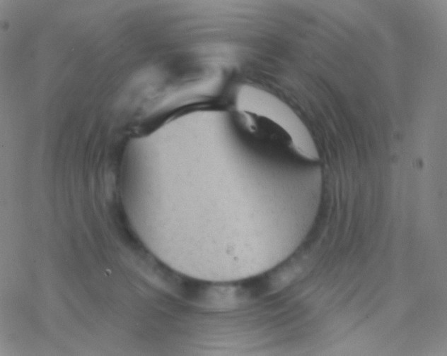 X0000076300227200610271922