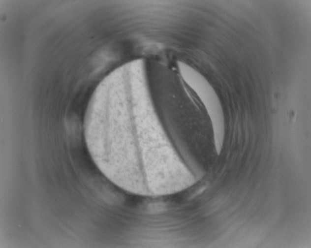 X0000076300228200610271922