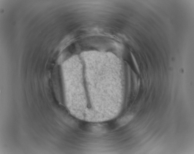 X0000076300229200610271922