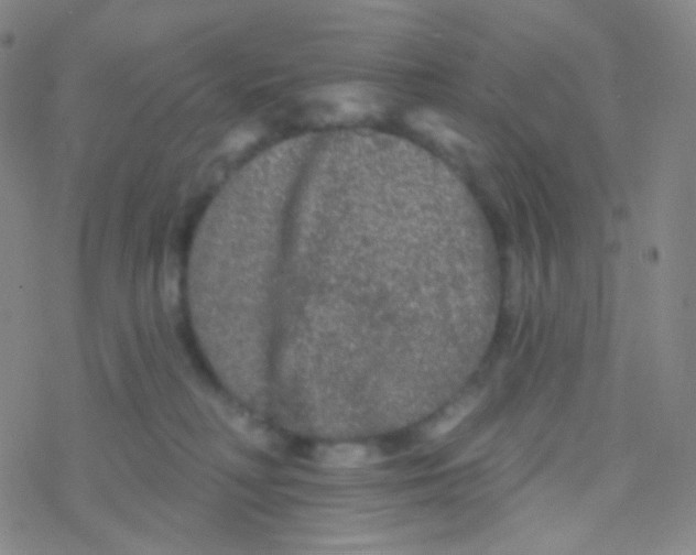 X0000076300230200610271922