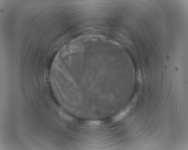 X0000076300233200610271922