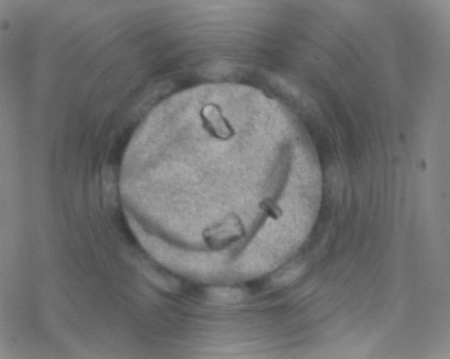 X0000076300234200610271922