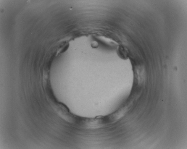 X0000076300235200610271922