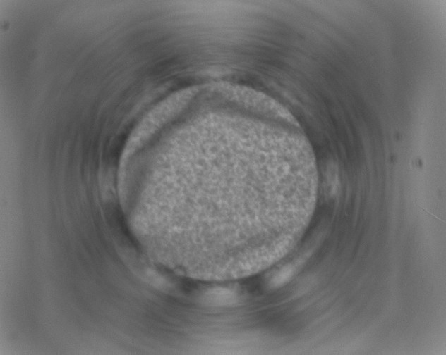 X0000076300236200610271922