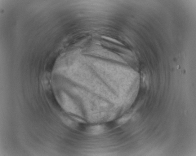 X0000076300237200610271922