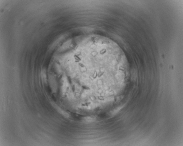 X0000076300238200610271922