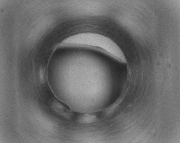 X0000076300239200610271922