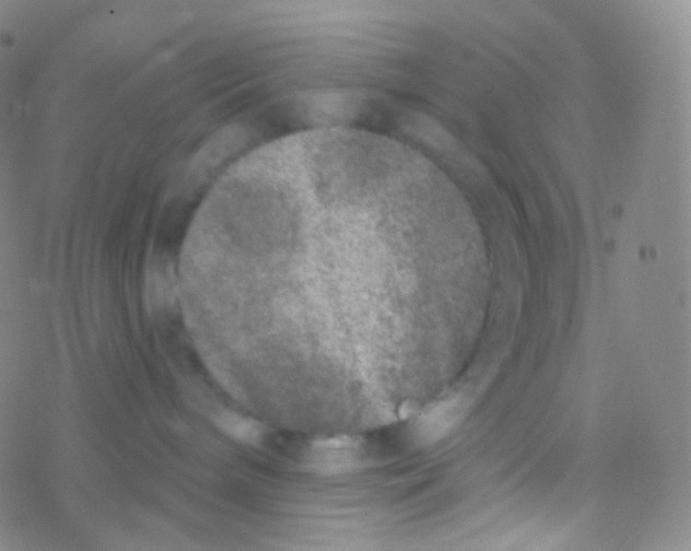 X0000076300240200610271922