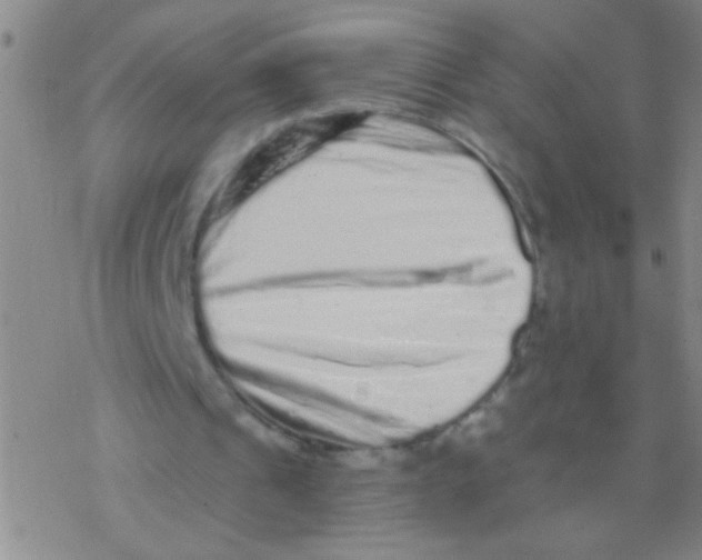 X0000076300241200610271921