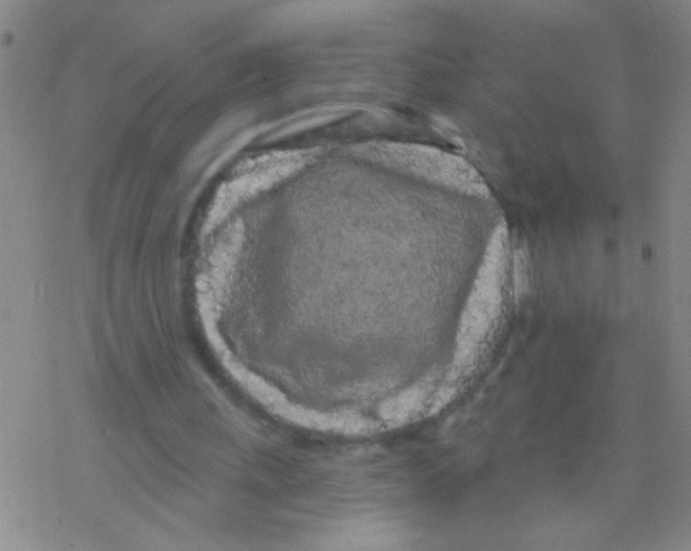 X0000076300243200610271921