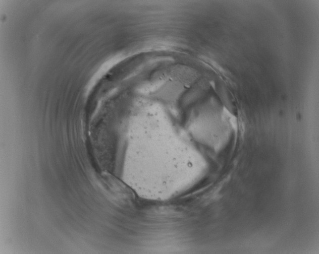 X0000076300244200610271921