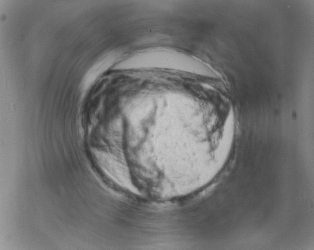 X0000076300245200610271921