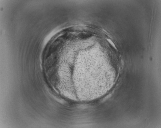 X0000076300246200610271921