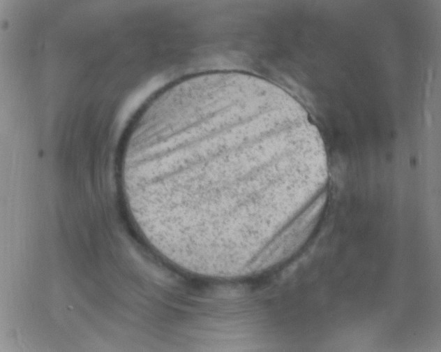 X0000076300248200610271921