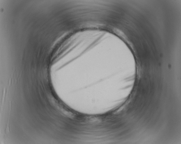 X0000076300249200610271921