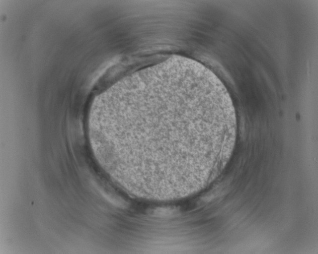 X0000076300251200610271921