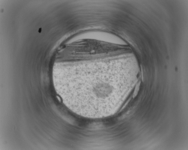 X0000076300252200610271921