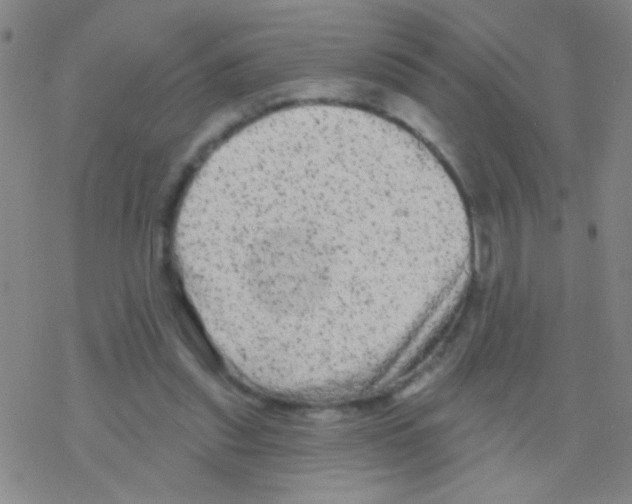 X0000076300253200610271921