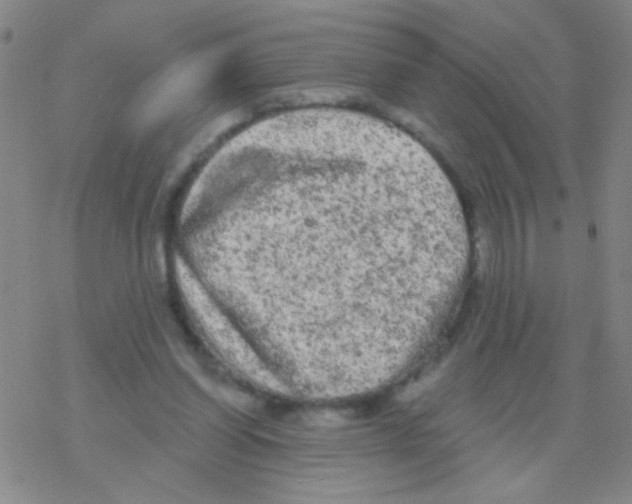 X0000076300254200610271921