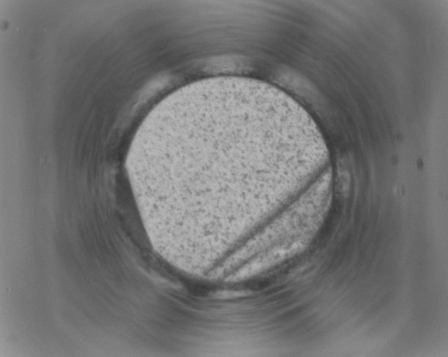 X0000076300255200610271921