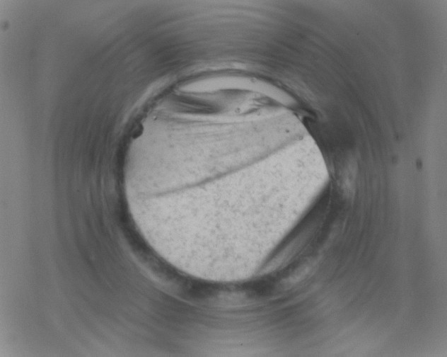 X0000076300256200610271921