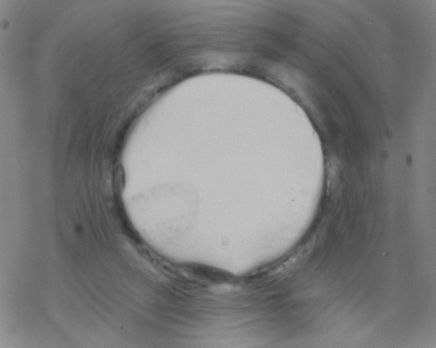 X0000076300257200610271921