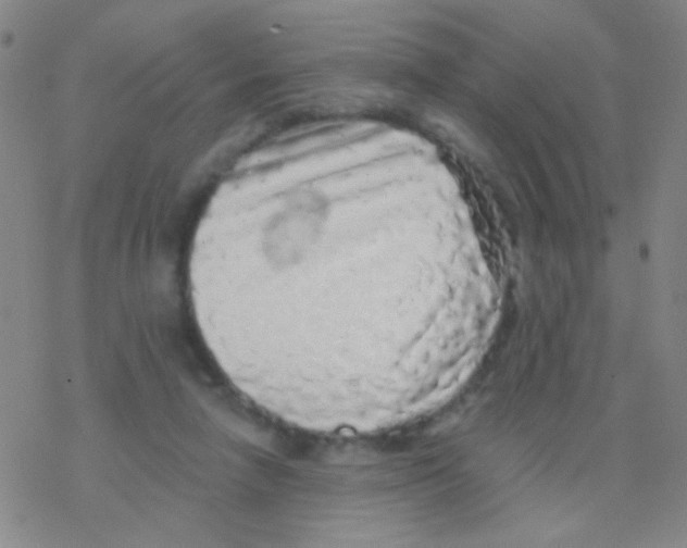 X0000076300258200610271921