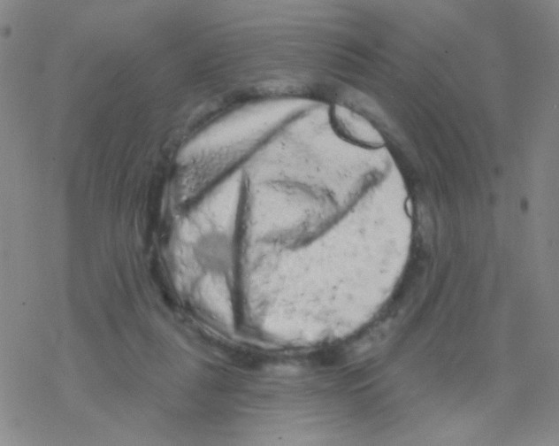 X0000076300259200610271921