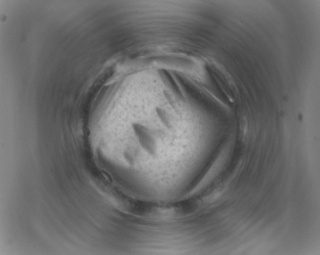 X0000076300260200610271921