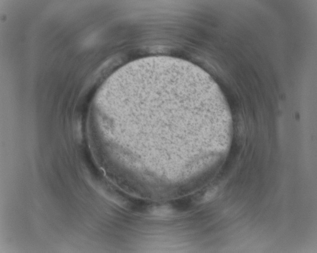 X0000076300262200610271921