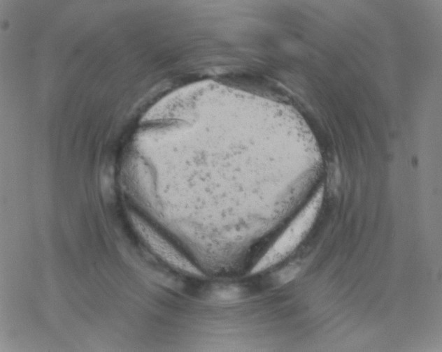 X0000076300263200610271921