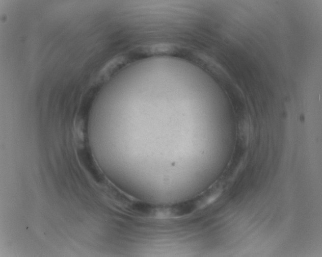 X0000076300264200610271921