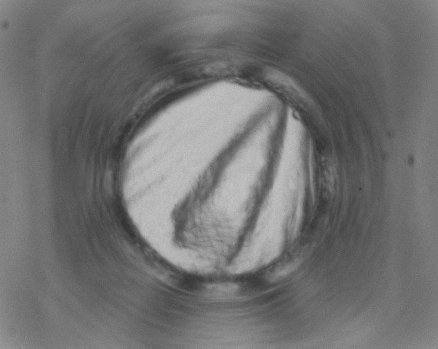 X0000076300266200610271921