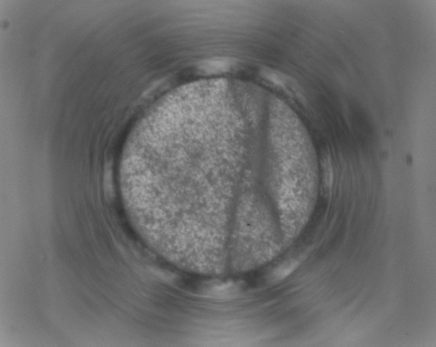 X0000076300267200610271921